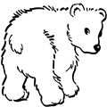 animal coloring-Bear