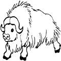 animal coloring-Buffallo