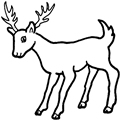 animal coloring-Deer