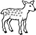 animal coloring-Fawn