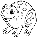 animal coloring-Frog