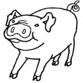 animal coloring-Pig