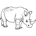 animal coloring-Rhinoceros