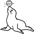 animal coloring-Seal