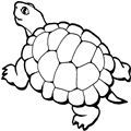 animal coloring-Turtle