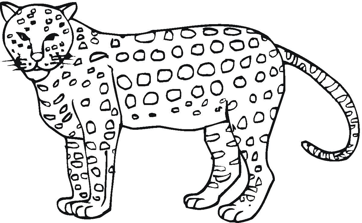 91 Collection Jaguar Animal Coloring Pages  Latest HD