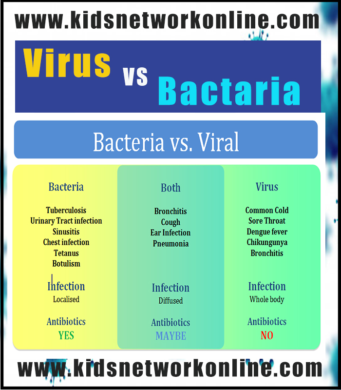 Virus And Bacteria for kids
